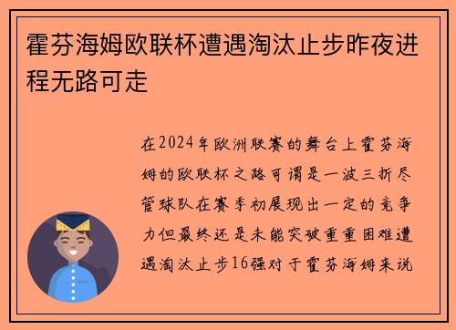 霍芬海姆欧联杯遭遇淘汰止步昨夜进程无路可走